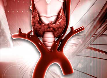 Endocrinologia